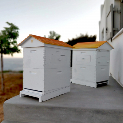 Interactive Beehives