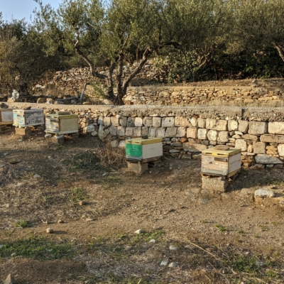 Apiary