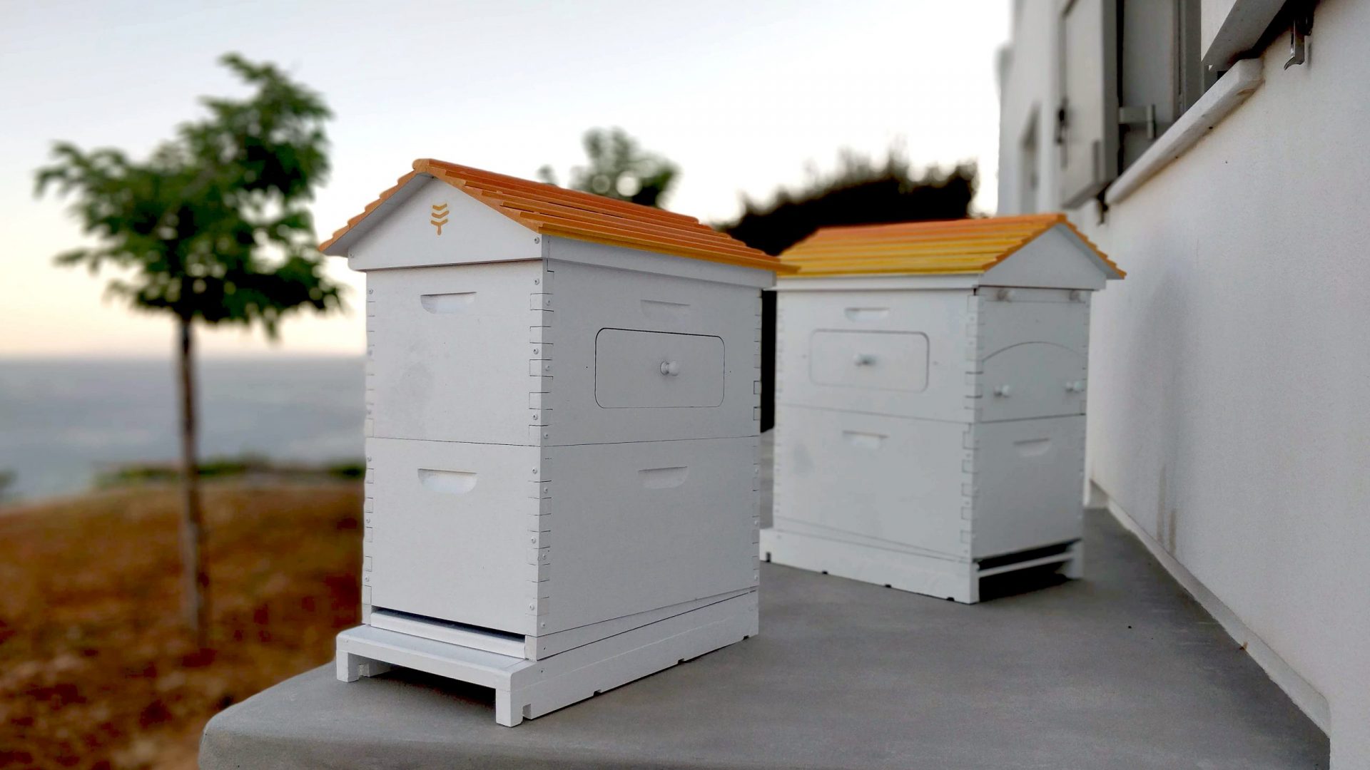 Interactive Beehives